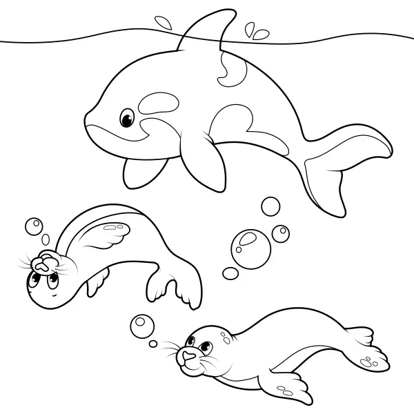 Focas y orcas | Dibujos para colorear online para niños