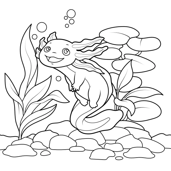 Axolotl | Dibujos para colorear online para niños