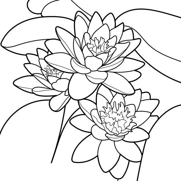 Nenúfar | Dibujos para colorear online para niños