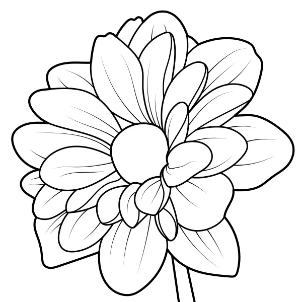 Dalia | Dibujos para colorear online para niños