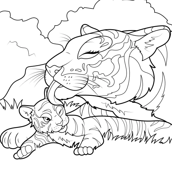 El tigre limpia a su cría | Dibujos para colorear online para niños