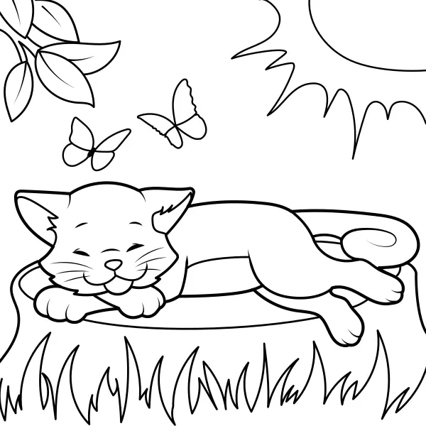 El gato se calienta al sol | Dibujos para colorear online para niños