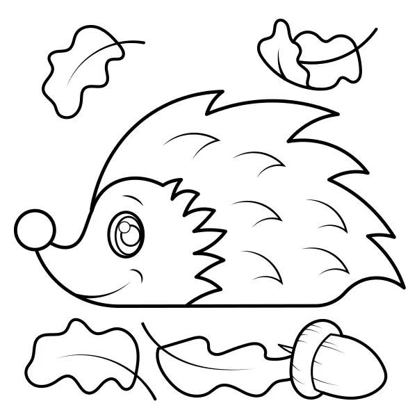 Erizo | Dibujos para colorear online para niños