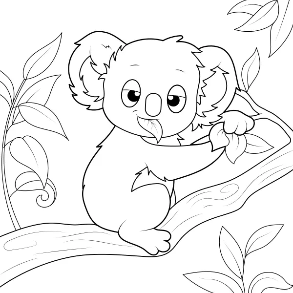 Koala | Dibujos para colorear online para niños