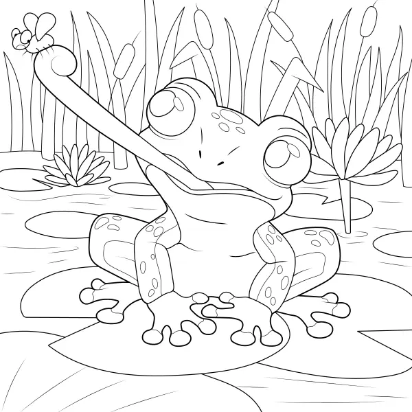 Rana | Dibujos para colorear online para niños