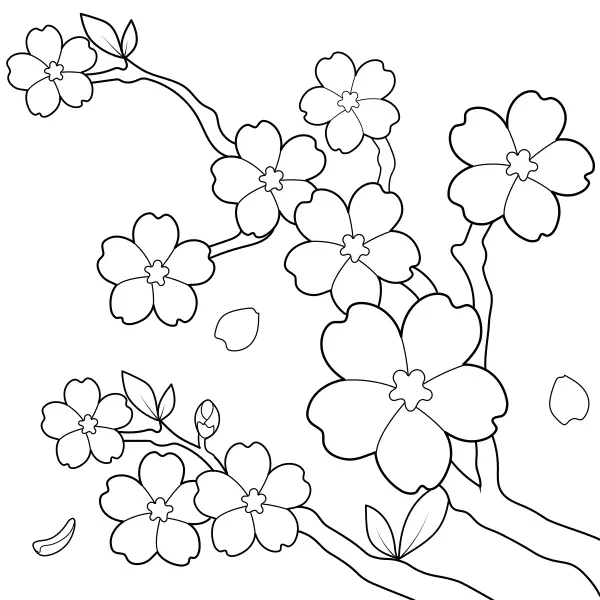 Cerezo japonés | Dibujos para colorear online para niños