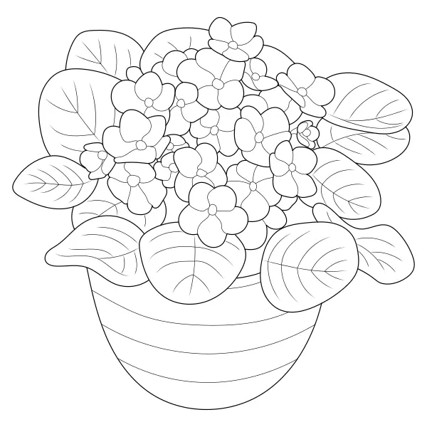Violetas | Dibujos para colorear online para niños