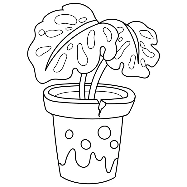 La planta Monstera | Dibujos para colorear online para niños