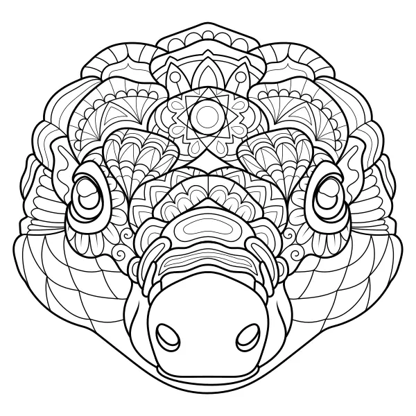 Mandala – Pangolín | Dibujos para colorear online para niños
